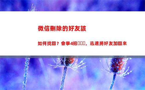 微信刪除的好友該如何找回？會學4招，迅速將好友加回來(如何刪除微信好友徹底刪除)